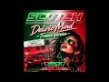 Scotch Delirio Mind 2026 Trance Remix By Steven Van Dom