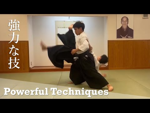 Powerful and Dynamic Aikido Techniques - Nagatsuka Toki