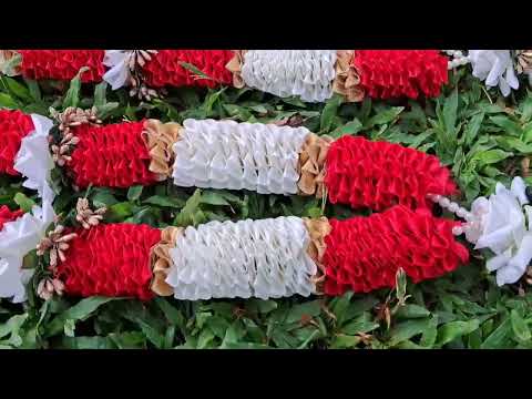 Wedding Tradition of India Jay Mala for Dulha Dulhan video