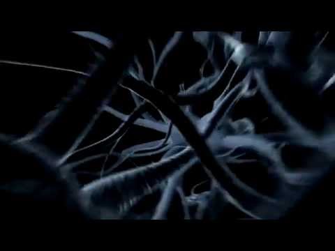 THE SHADOW EFFECT // Trailer Deutsch