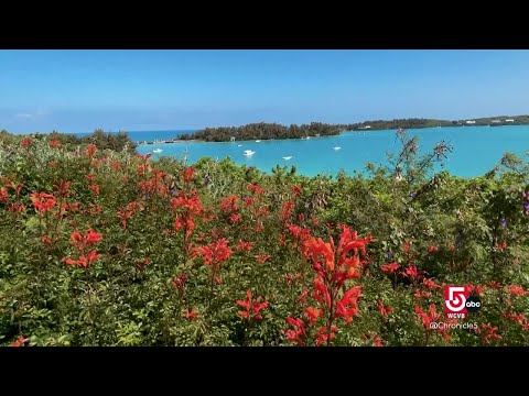 Unveiling Bermuda: A slice of paradise a short trip from New England