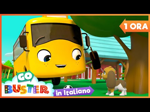 Buster salva il cucciolo | Go Buster in Italiano 🚌 - Cartoni animati per bambini