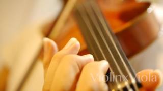 “Fate/Apocrypha” ED "Désir" (Violin Cover)