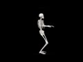 Skeleton Dance 1 Hour