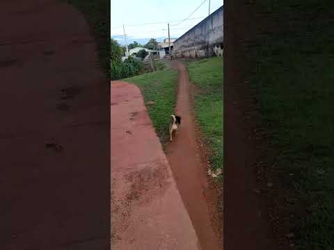 Velha corumba de Goiás Brasil 