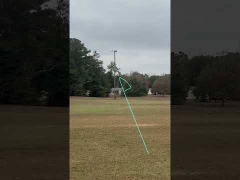 Premier Discs War Dove Review #shorts