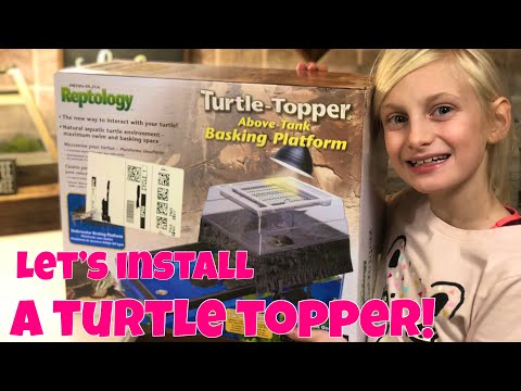 Installing a Reptology Turtle Topper!