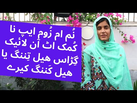 How to Use the Zoom App for Teaching, Learning, and Meetings? | Sabeena Brahui |  in Brahui Language