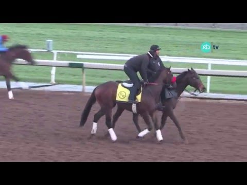 Nyquist works 6 furlongs for the San Vicente Stakes
