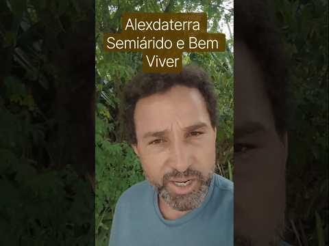 Semiárido e Culinária em Dona Inês #agriculturaregenerativa #plantas # #vidanaroça