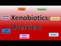 xenobiotics: overview