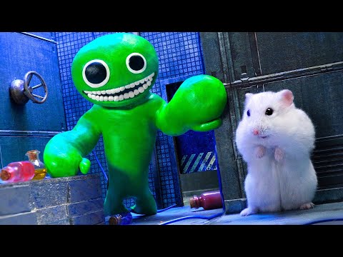 If My Hamster Was In New Garten Of Banban Maze  [Obstacle course!]