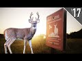DEER HUNTING PUBLIC LAND Buck At 10 YARDS
