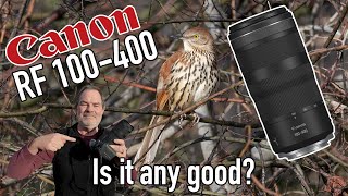 Canon RF 100-400 Bird Photography with EOS R7
