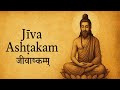 जीवाष्टकम् आत्मा ब्रह्म है Adi Shankaracharya S Soul A
