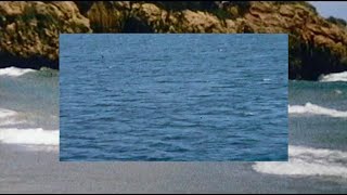 Field Guides - "Polo / Marco" (Sewing Machines Remix)