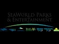 Seaworld Parks Entertainment Sponsor Sesame Street