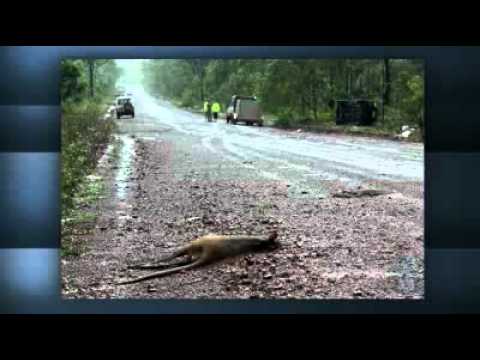 Aboriginal leader dies in Tiwi crash