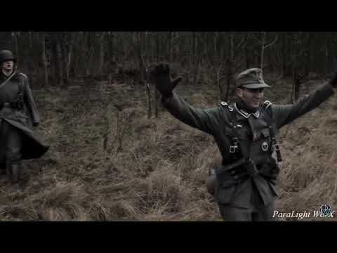 Germany surrenders ww2