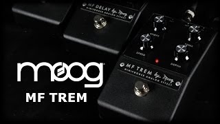 Video thumbnail for Moog Minifooger Trem by ProGuitarShopDemos