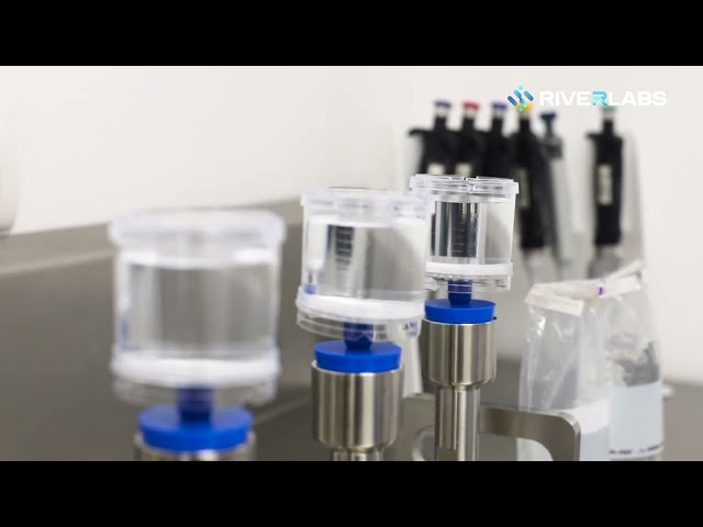 imagen-video-thefoodtech