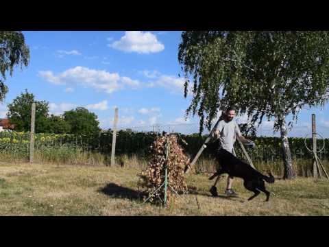 Boonie nad Vlčou Dolinou training
