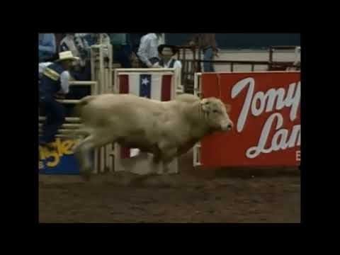 Bodacious bucks Scott Breding - 94 PBR Nashville