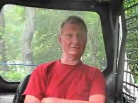 Tree Felling in Pembroke MA