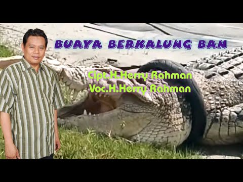 H.Herry Rahman - Buaya Berkalung Ban. Cipta. H.Herry Rahman (Official Music Video)
