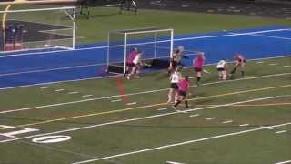 preview picture of video 'Westfield vs Fairfax Girls Field Hockey 0-1'
