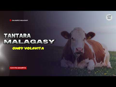 TANTARA MALAGASY - OMBY VOLAVITA