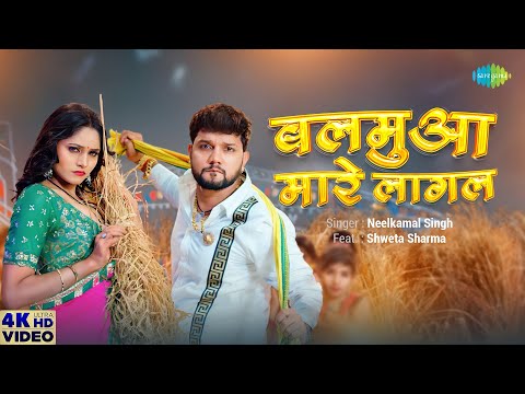 Balamua Maare Lagal — watch video
