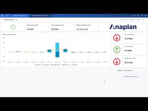 Liquidity Planning 13 Week Cash Flow Demo