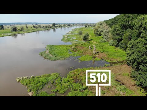 #maparzeki #510km STROMA ŚCIANA nad Odrą