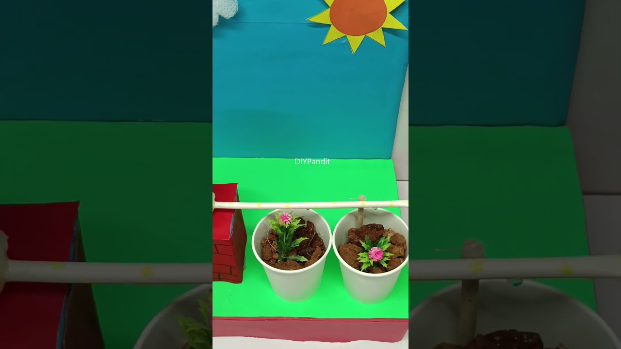 drip irrigation working model - diy - - science project -  diypandit - shorts | DIY pandit