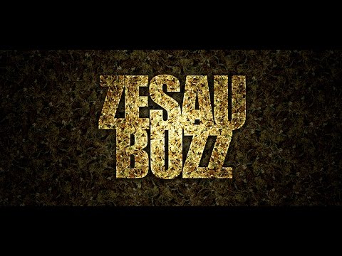 Zesau - Buzz