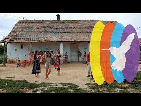 Téglaporos a kalapom /// Hummingbird Sessions