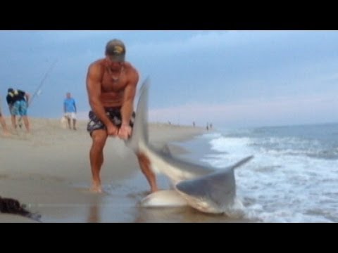 Man Wrestles Shark With Bare Hands: Caught on Tape | Good Morning America | ABC News