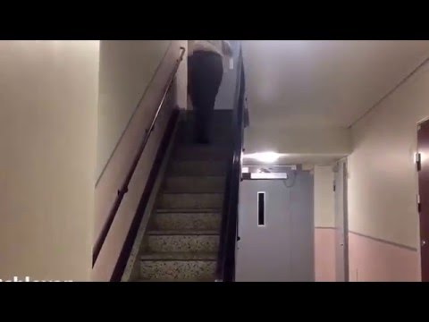 When you bring a pet home to your parents