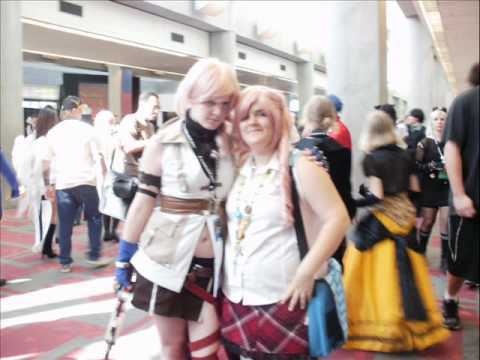 Fanime Video 1. (Pictures of Roughly seven zebras )