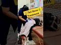 Tailbone Painrelief Treatment Chiropractor Physiotherapy Mobilization Trending Viralreels