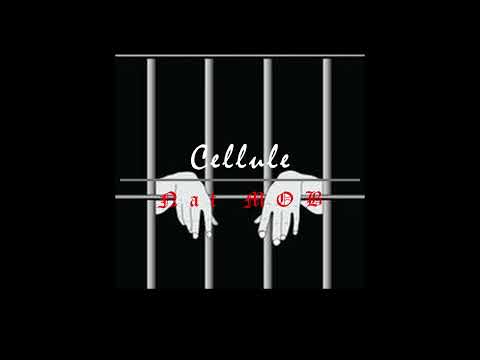 NaT MoB (Cellule 2022)