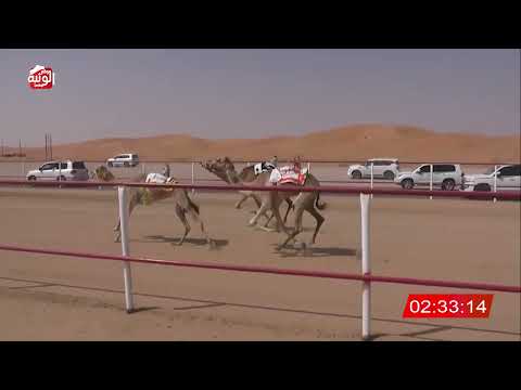 ش 1 (هملوله) لـ حمد حميد سالم الدرعي 8:02:98 , شارة الديوان 2026/03/03 ايذاع الرقيعات