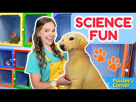 Toddler Learning - STEM for Kids | Explore Science & Discovery Center with Silly Miss Lily