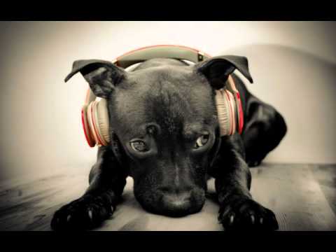 Aron Scott feat  Farisha -  Rewind (Sensitive! Remix) free