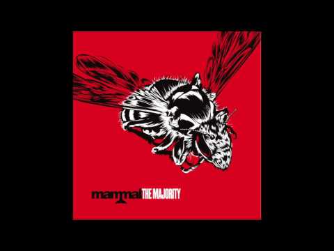 Smash The Piñata - Mammal