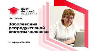 "Заболевания  репродуктивной системы человека"