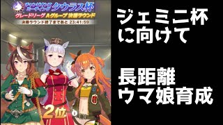 [ウマ娘]タウラス杯Aグループ2位(微課金)によるジェミニ杯考察&育成