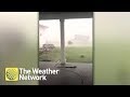 Trampoline Blown Away During Storm Woman S Reaction Is Exactly Right