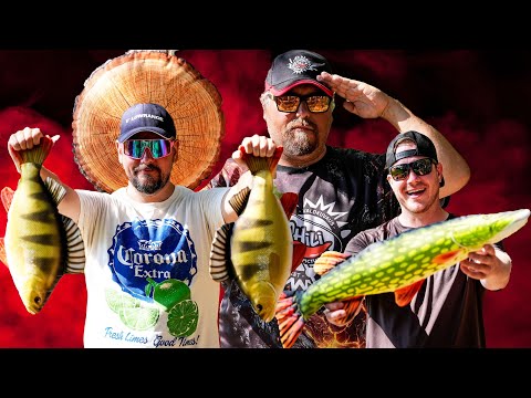 Kalastusta ja Kokkailua Kotkassa – Saatiinko Saalista Oppaan Kanssa? 🎣🔥